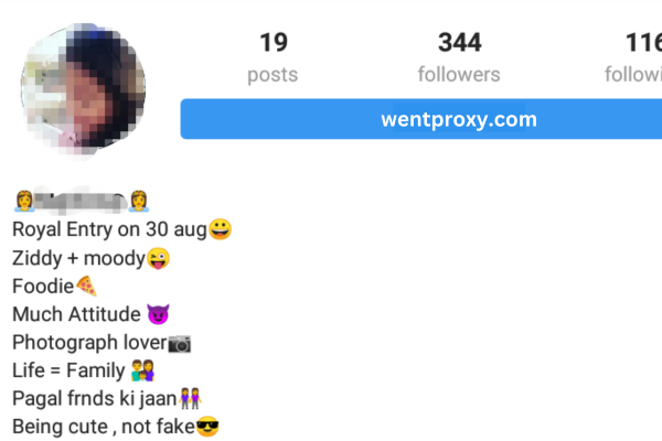 Swag Attitude Bio for Instagram for Girls